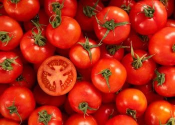 Setelah Menikah, Diharapkan Rajin Makan Tomat Panggang?