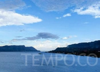 Ajak Turis Menanam Kopi, Resor di Danau Toba Hadirkan Pengalaman Unik