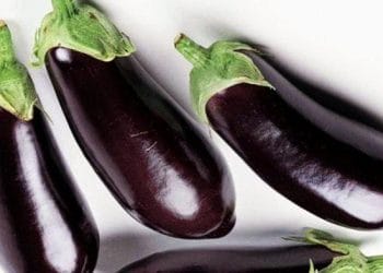 7 Manfaat Tak Terduga Terong untuk Kesehatan dan Kandungan Nutrisinya