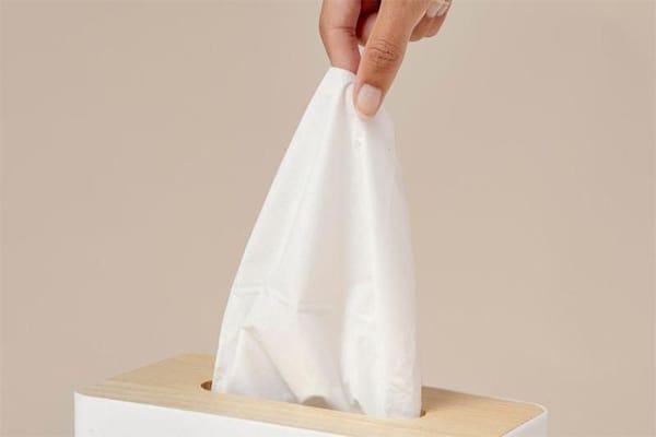 7 Cara Menyimpan Daun Katuk agar Tahan Lama Hindari Paparan Cahaya