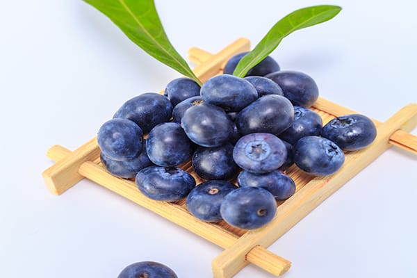 makanan sehat untuk ginjal