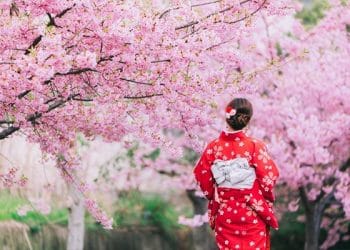 Negeri Sakura