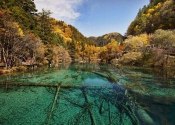 5 Fakta Menarik Lembah Jiuzhaigou, Surga Flora dan Fauna Endemik China
