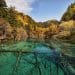 5 Fakta Menarik Lembah Jiuzhaigou, Surga Flora dan Fauna Endemik China