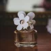 tips belanja parfum online