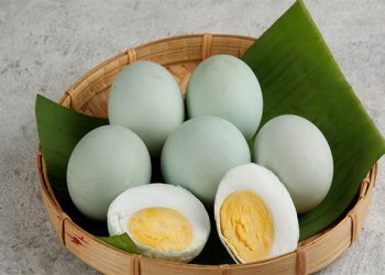 manfaat telur bebek
