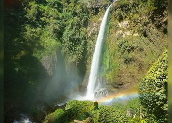 Ini yang Harus Kamu Ketahui Jika Ke Malang Kabupaten, Mulai dari Kuliner dan Wisata Andalannya