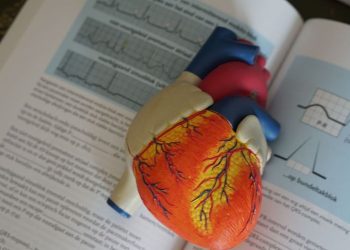 Penyakit Jantung Pengaruhi Kesehatan Ginjal, Kata Dokter