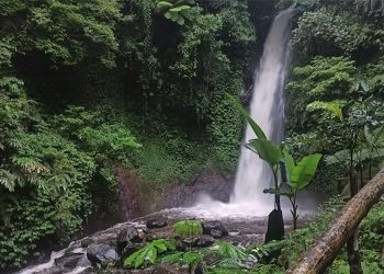 Ini yang Harus Kamu Ketahui Jika Mau Ke Nganjuk, Mulai dari Kuliner Hingga Wisata Andalan