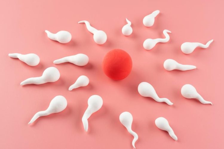 (foto Ilustrasi Freepick)