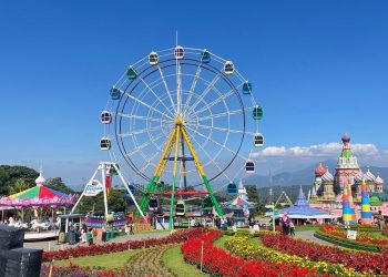 Kebun Bunga Celosia Bandungan, Pilihan Liburan Akhir Pekan yang Menakjubkan