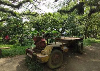 Ini 5 Hal Penting yang Harus Kamu Ketahui Sebelum Ke Banyuwangi