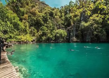 wisata Gunung Gede Pangrango