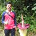 Bunga Bangkai di Jatinegara Disangka Pohon Pisang Tapi Berbau Busuk