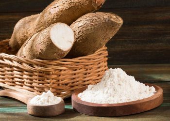 Risiko Tapioka dan Singkong dalam Makanan Harian