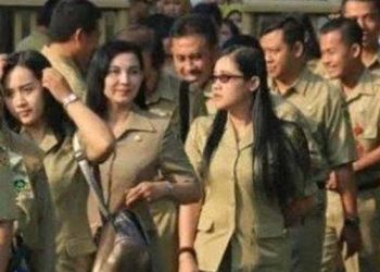 Geger Nasional! Gaji PPPK Paruh Waktu 2025: Naik atau Tetap Rp300 Ribu?