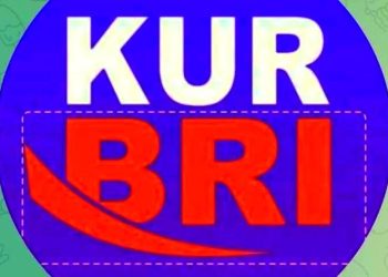 Sisa Kuota Rp40 Triliun! Kesempatan Emas Ajukan KUR BRI Tahun Ini