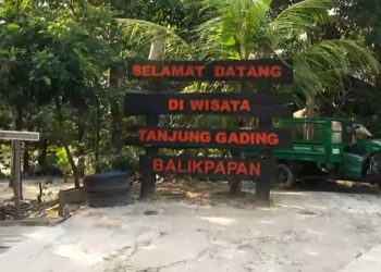 Itinerary Kesehatan di Wisata Tanjung Gading Balikpapan, Hanya Rp80 Ribu!