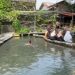 Itinerary Liburan Hemat ke Umbul Kemanten Klaten dengan Budget Rp 65 Ribu