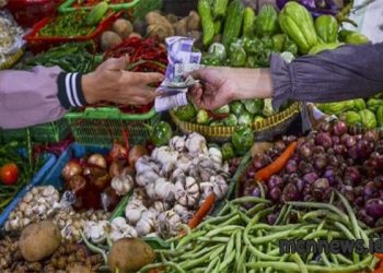 Pedasnya Harga Cabai di Tasikmalaya Jelang Nataru Bikin Ibu Rumah Tangga Menjerit!