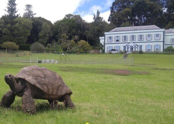 Makhluk hidup paling tua di dunia, dari hewan hingga tumbuhan