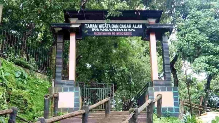 Cagar Alam Pananjung Pangandaran