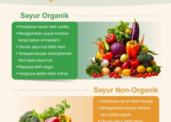 Perbedaan Makanan Organik dan Non-Organik: Cara Produksi, Manfaat Kesehatan, dan Dampak Lingkungan