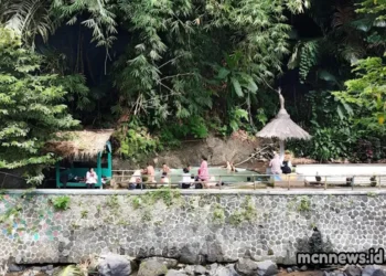 Profil lengkap Desa Cikupa