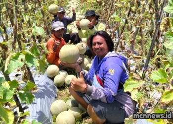 Profil lengkap Kecamatan Purwadadi