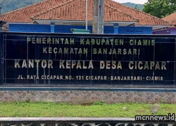 Profil lengkap Desa Cicapar