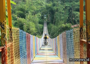 Profil lengkap Kecamatan Cisaga