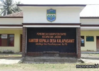 Profil Desa Kelapasawit