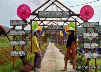 Kecamatan Cipaku Ciamis