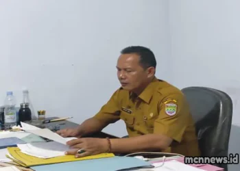 harga cabe rawit naik