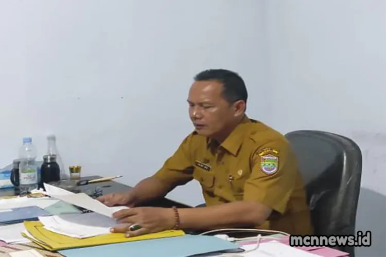 harga cabe rawit naik