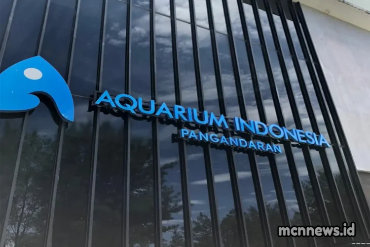 Aquarium Indonesia