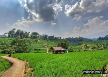 Profil lengkap Desa Cigayam