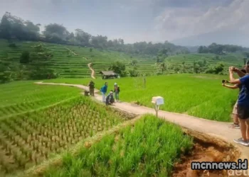 Profil lengkap Desa Kalijaya