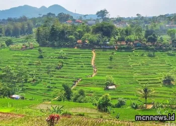 Profil lengkap Desa Karyamukti