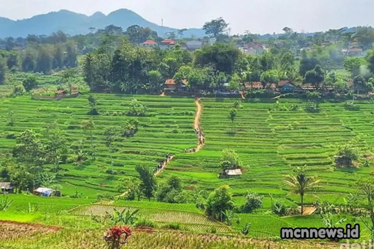 Profil lengkap Desa Karyamukti