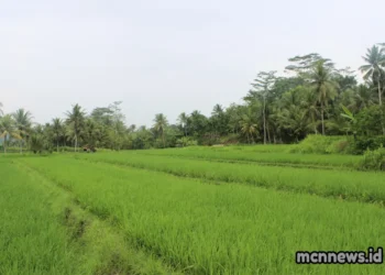 Profil Desa Bojongmalang