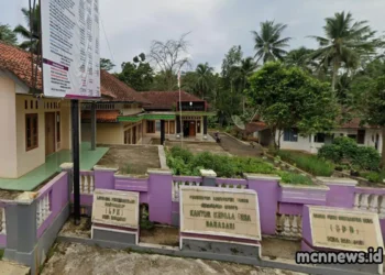 Profil Desa Danasari