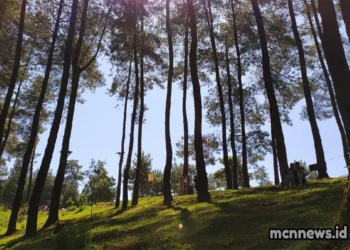 Kecamatan Cikoneng Ciamis