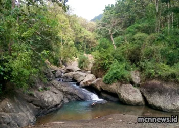 Sejarah Desa Kawasen