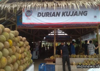 Profil Desa Kujang Kecamatan Cikoneng