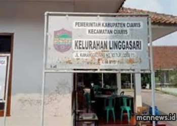Profil lengkap Kelurahan Linggasari