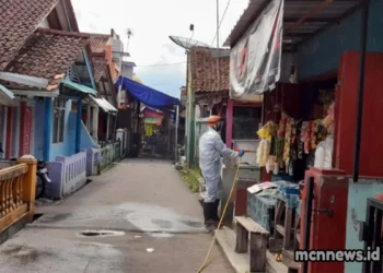 Profil Desa Padamulya