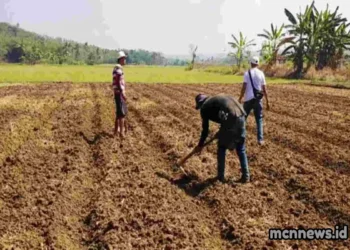 Profil Desa Bantarsari