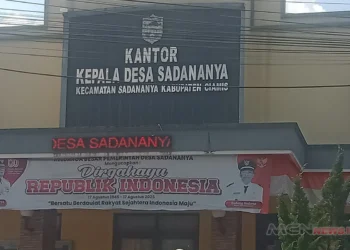 profil desa sadananya