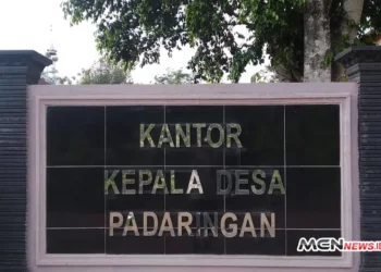 Profil Desa Padaringan